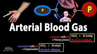 Arterial Blood Gas ABG Test Animation