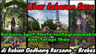 Wisata Taman Kebon Gedhang Kersana Brebes