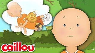 Caillou Der Fußballspieler  Die Neuen Abenteuer von Caillou  Staffel 3 Folge 25