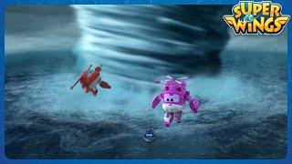 Superwings Ranking Show Dangerous Disaster Top5 EP22