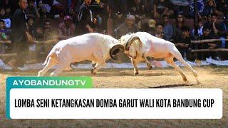 Lomba Seni Ketangkasan Domba Garut Wali Kota Bandung Cup