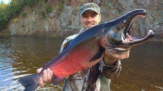 Монстры Сахалина. Рыбалка и приключения на таежной реке. Salmon fishing monster fish. Часть 2