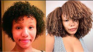 MY NATURAL HAIR JOURNEY FROM THE BEGINNING  Color Damage Heat Damage & Transitioning