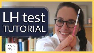 How to use cheap ovulation tests  LH test strips tutorial
