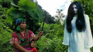 Single mother in danger in the forest - Harvesting & Preserving corn for long term  Nhim single mom