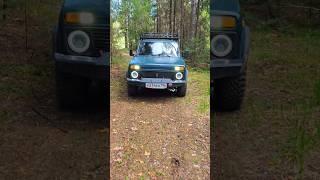 forest walk #2024 #automobile #forest #nature #offroad #niva #лес #нива #природа