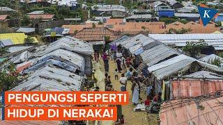 Rohingya di Bangladesh Minta Dipulangkan Pengungsi Seperti Hidup di Neraka