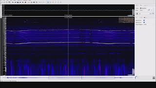 【モハラジオ録音電感器錄音】金龍電動公車