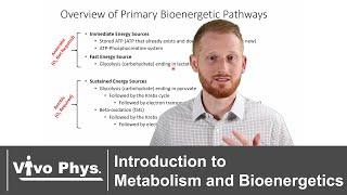 Introduction to Metabolism and Bioenergetics