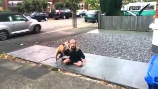 Dog Humping Girl