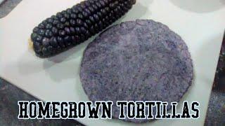 How to Make Masa and Tortillas from Hopi Blue Corn Nixtamalization