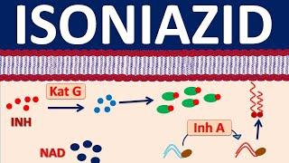 Isoniazid inh - A narrow spectrum antibiotic for tuberculosis