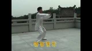 Байхэцюань  永春白鹤拳 教学  yong chin baihe quan