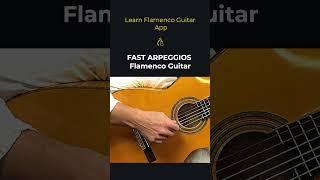 Guitar Arpeggios with Learn Flamenco Guitar App