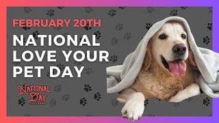 National Love Your Pet Day  February 20th - National Day Calendar