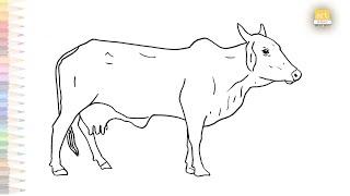 Cow outline drawing  How to draw A Cow step by step  Cow drawing tutorials  Cattle drawings