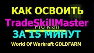 КАК ОСВОИТЬ АДДОН TradeSkillMaster ЗА 15 МИНУТ