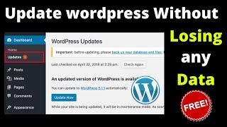 How To Update wordpress Without Losing any data