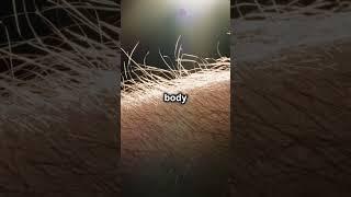 Why do we get goosebumps  #facts #viral #wondering #subscribe