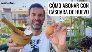 DALE USO y NO TIRES la CÁSCARA DE HUEVO cómo abonar con huevos tu huerta y jardín  en20metros