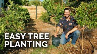 How to Plant Fruit Trees The Complete Guide