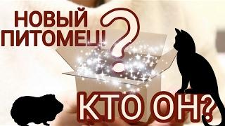 НОВЫЙ ПИТОМЕЦ КТО ЭТО???