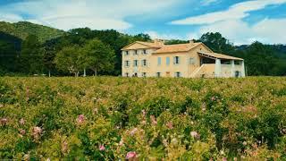 10 Hours Rose Petal Farm in Southern France - Video & Soundscape 1080HD SlowTV