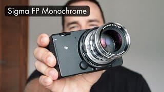 Sigma FP Monochrome Review