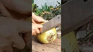 Sliced Coconut Peeling Styles amazing coconut peeling skills #cuttingskills #coconutcuttingskills