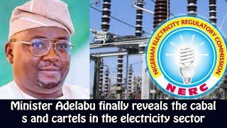 Minister Adelabu finally reveals the cabals and cartels in the electricity sector