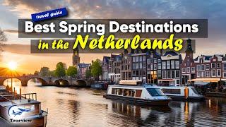 How to Experience Dutch Spring