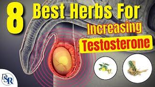 8 Best Herbs For 𝗜𝗻𝗰𝗿𝗲𝗮𝘀𝗶𝗻𝗴 𝗧𝗲𝘀𝘁𝗼𝘀𝘁𝗲𝗿𝗼𝗻𝗲 Clinically Proven