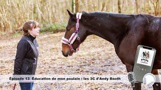 Éducation de mon poulain  les 3C dAndy Booth  #podcastentrecavalieres