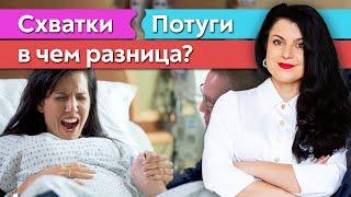 Чем отличаются схватки и потуги?  Как распознать схватки?