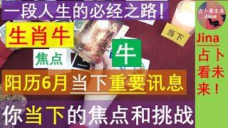 生肖牛 6月中至6月30日 一段你人生的必经之路阳历6月运势的补充 发布时间2024年6月7日