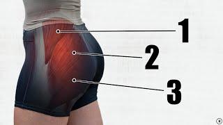 How To Grow Your Glutes 5 BEST Exercises + Gluteal Amnesia Myth Busting