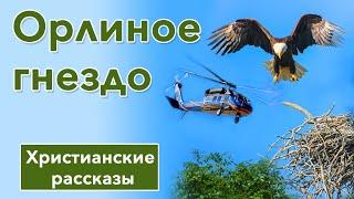 ИНТЕРЕСНЫЙ ХРИСТИАНСКИЙ РАССКАЗ  Орлиное гнездо  Христианские рассказы