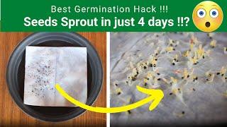 Best Seeds Germination Hack Tissue Paper Method Seed Germination  TrustBasket