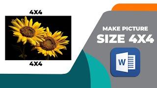 How to make picture size 4x4 in Microsoft word