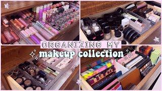 ORGANIZING MY MAKEUP COLLECTION  The Beauty Vault