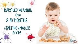 Baby Led Weaning from 8-10 Months - Starting Smaller Foods