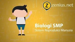 Sistem Reproduksi Manusia