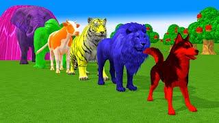 Paint Animals Gorilla Cow Duck Lion Dog Elephant Tiger Fountain Crossing Cartoon Animal Game