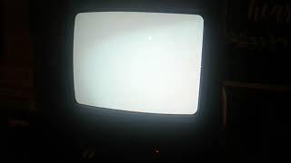 White Screen of Death Clicking Tone On My Waynes World 2 1994 VHS