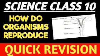 How do Organisms Reproduce Class 10  Exphub  Science Class 10  Exphub9th10th  Class 10 Science