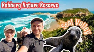 #59. Unveiling Natures Majesty Hiking the Robberg Nature Reserve  Plettenberg Bay  South Africa