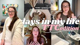 TTC VLOG   catheter check for IUI genetic bloodwork & next steps + decor updates