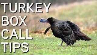 TURKEY CALLING TIPS  Box Calls For Beginners