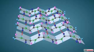 Proteins and their Structure