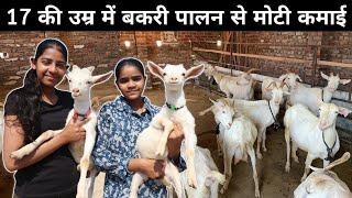 छोटी सी उम्र में इस लड़की ने बना डाला लाखों का बकरी फार्म  Goat Farming  Goat Farm Tour